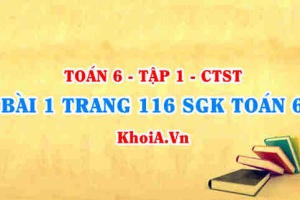 Bài 1 trang 116 SGK Toán 6 Tập 1 Chân trời sáng tạo